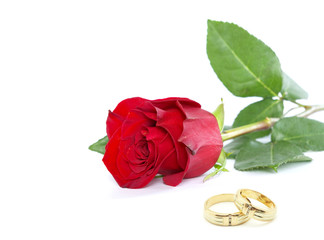 rose and ring