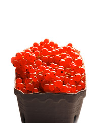 Johannisbeeren