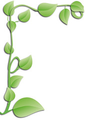 cadre de feuilles