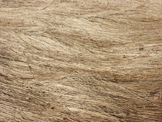 Dry grass background