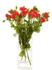 a bunch of red roses in the transparent vase