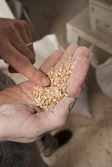 Granaglie Spezie Erboristeria