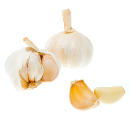 Garlic set on the white background isolated