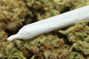joint
