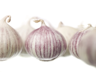 Obraz premium Garlic