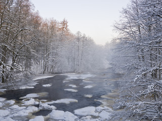 Winter Landscape