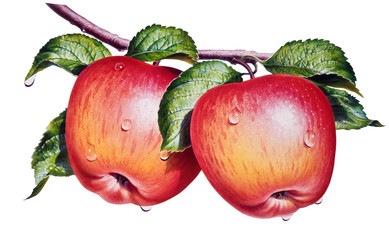 Obrazy na Szkle  Jabłka