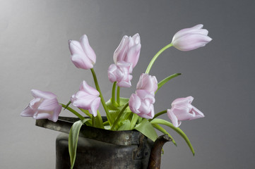 Bunch of pink tulips in an old kettle
