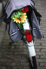 Bike in Amsterdam, Netherlands