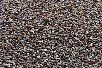 some organic poppy to use as background