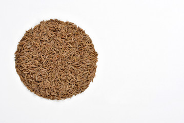 some organic caraway seed and a bright background