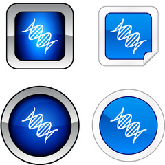 DNA   web buttons. Vector illustration