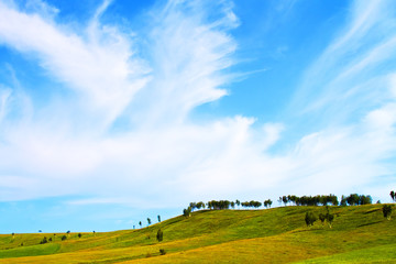 Green field and blue sky