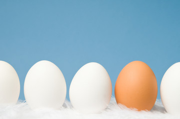 White eggs  and one brown egg in a row with blue background