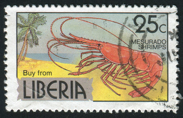 Obraz premium postmark