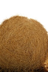 Hay round bale of dried wheat cereal