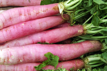 radishes
