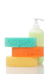 Soap dispenser and sponges