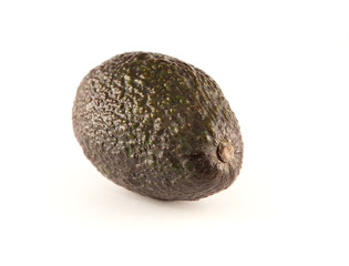 avocado (Persea americana)