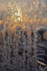 Frosty natural pattern on winter window