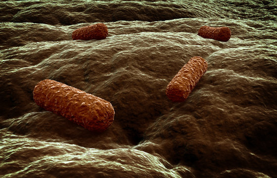 Microbes attacking a tissue