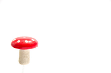 Pilz