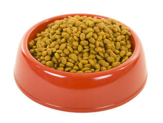 Cat Dry Food in Bowl