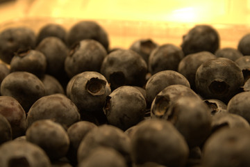 Late Season Blueberries