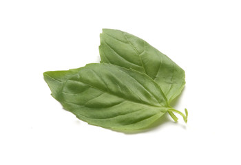 Basil