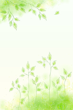 Vector Spring Card With Green Foliage