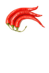 Three red chilli peppers isolated on white background
