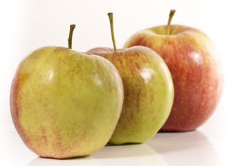 Drei Äpfel wd458