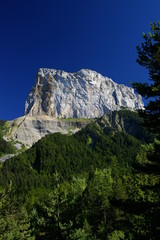 Grande dame blanche
