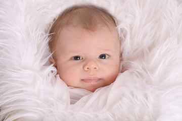 portrait de bébé de deux mois