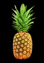 Fototapeta premium Ripe pineapple