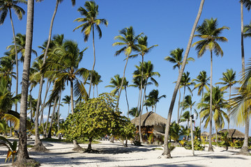 Fototapeta na wymiar les belles plages de la république dominicaine