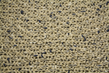 Knitting. Texture