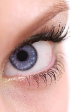 Macro shot of an eye with blue iris