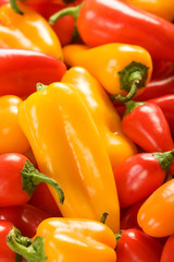 Mixed Peppers in three colors