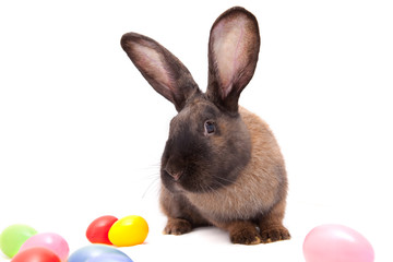 a dozen colours and green