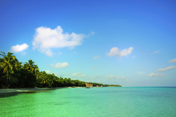 beach scene at Maldives