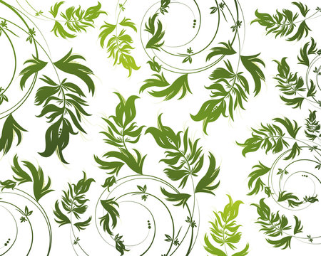 Green floral pattern on white background