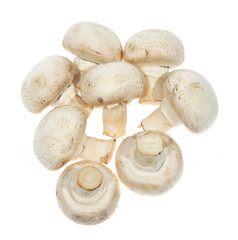 White mushrooms, champignon, (Agaricus bisporus)