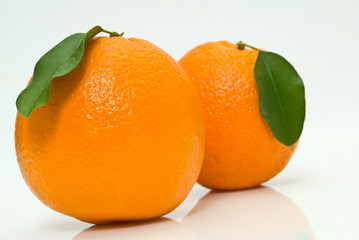 Orange studio isolated on white background
