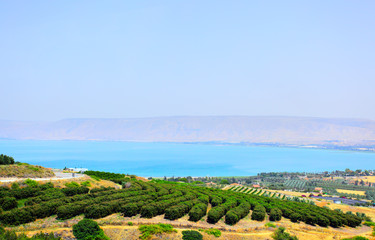 Sea of Galilee (Lake Kinneret). Israel - obrazy, fototapety, plakaty