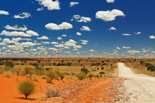 Stra&szlig;e durch die Kalahari