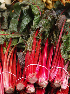 rhubarbe