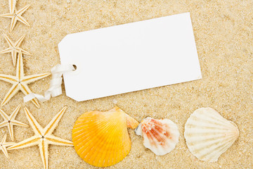 Starfish and Seashells