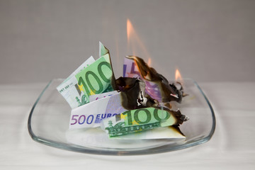 Kapitalvernichtung