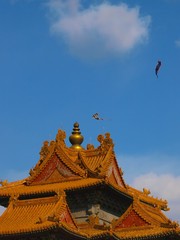 Kites over a House in the forbidden city Beijing